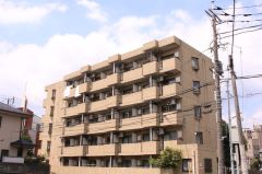 �����s�����q�s�q�����P����19-8�̃}���V�����̌����O��