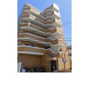 �����s�����q�s�Бq��445-1�̃}���V�����̌����O��