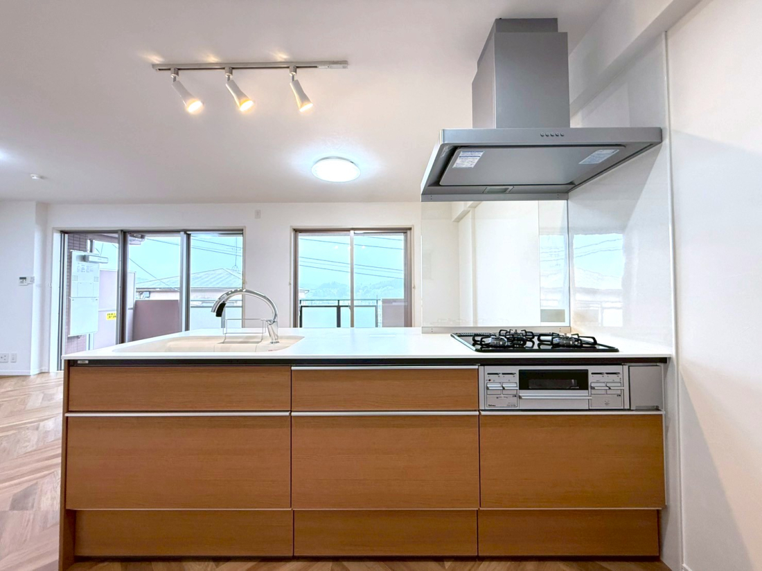 �����s�����q�s���c���̒��Ã}���V�����̃L�b�`��