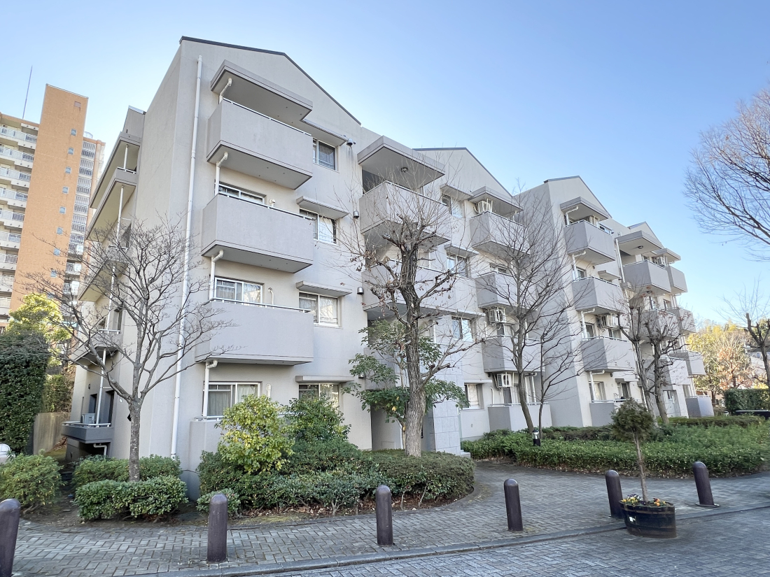 �����s�����q�s�ʏ�2���ڔ����q�s���M�؏��w�Z�����q�s�{�㒆�w�Z�̒��Ã}���V�����̌��n�O�ώʐ^