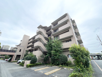 �����s�����q�s���Ԓ��̒��Ã}���V�����̌��n�O�ώʐ^