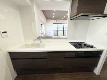 �����s�����q�s���R���̒��Ã}���V�����̃L�b�`��