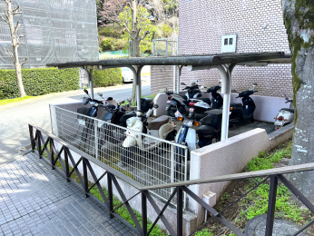 �����s�����q�s�v�ێR��1���ڂ̒��Ã}���V�����̂��̑����p��