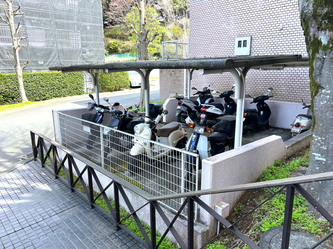 �����s�����q�s�v�ێR��1���ڂ̒��Ã}���V�����̂��̑����p��