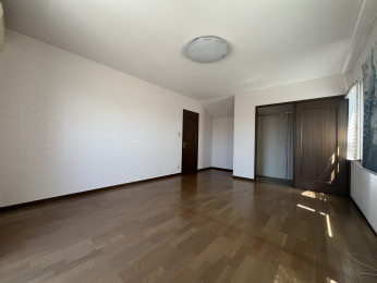 �����s�����q�s�l�J���̒��È�ˌ��Ẵ��r���O�ȊO�̋���