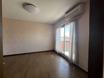 �����s�����q�s�l�J���̒��È�ˌ��Ẵ��r���O�ȊO�̋���