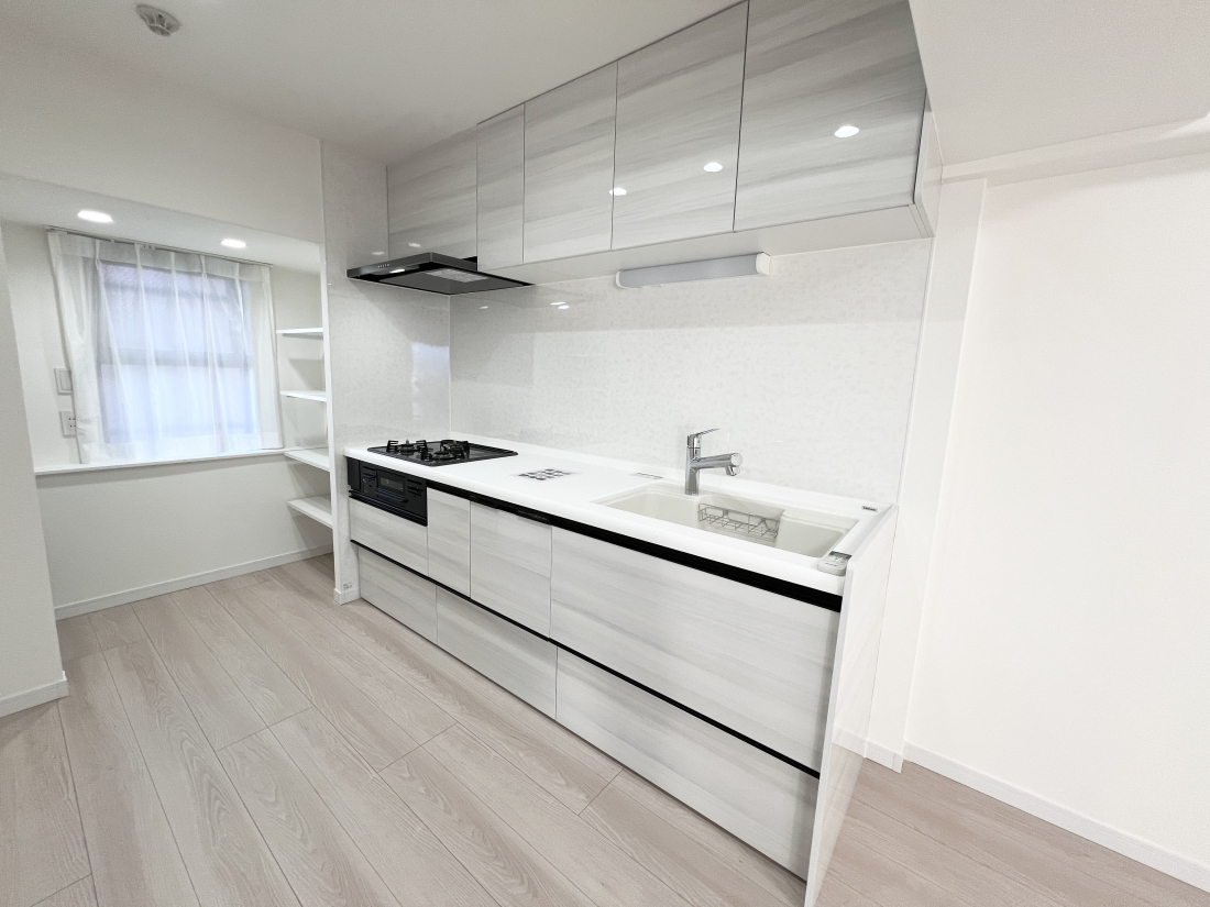 �����s�����q�s�Ǖ����̒��Ã}���V�����̃L�b�`��