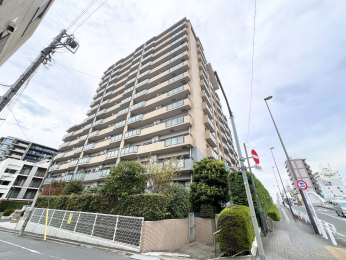 �����s�����q�s�����̒��Ã}���V�����̌��n�O�ώʐ^