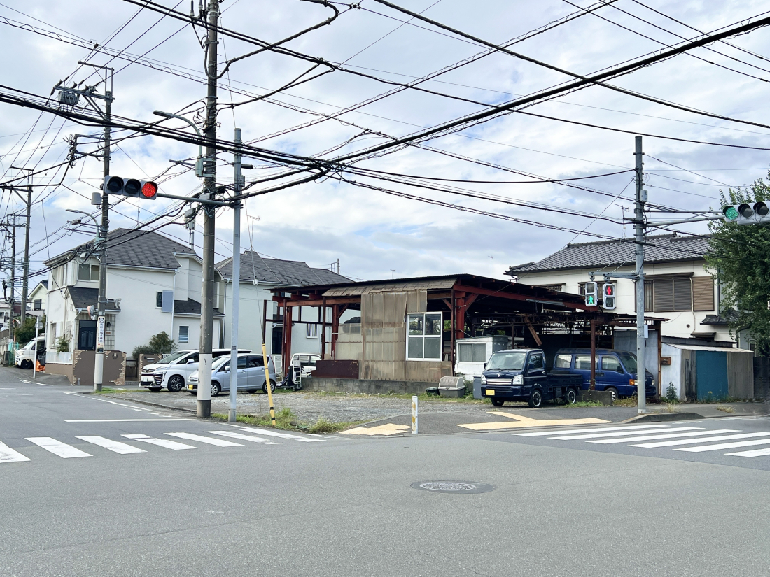 sqs{̓yn̑OʓH܂ތnʐ^