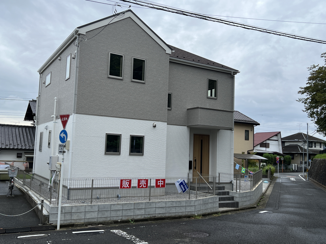 sqs߂1ڂ̐VzˌĂ̌nOώʐ^