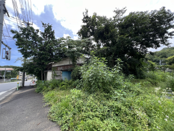 sqsR̓yňnynʐ^