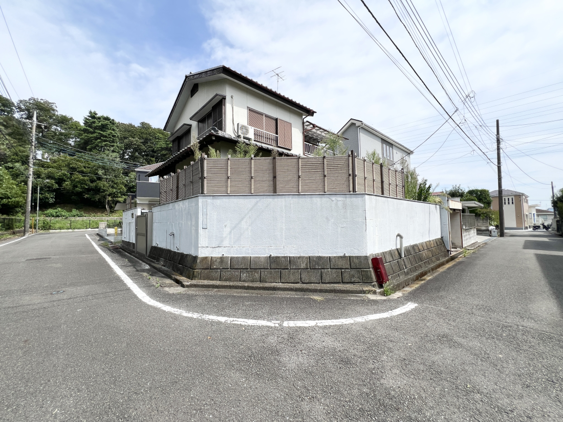 sqsz1ڂ̓yn̑OʓH܂ތnʐ^