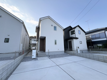 sqs󕪕̐VzˌĂ̌nOώʐ^