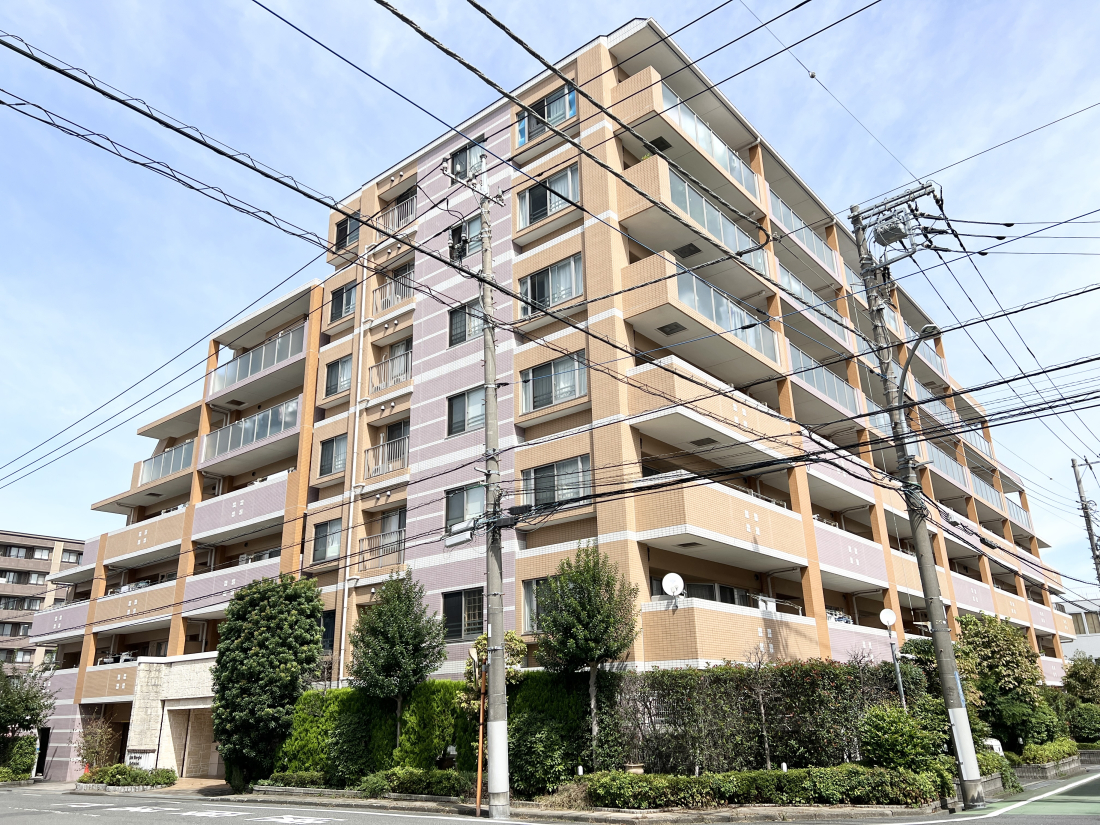 sqsUc5ڂ̒Ã}V̌nOώʐ^