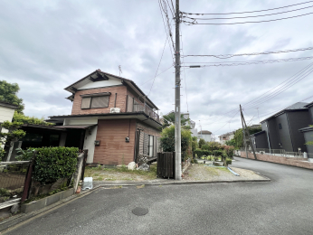 sqs̓yn̑OʓH܂ތnʐ^