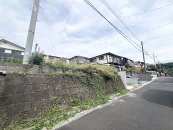 sqs̓yn̑OʓH܂ތnʐ^