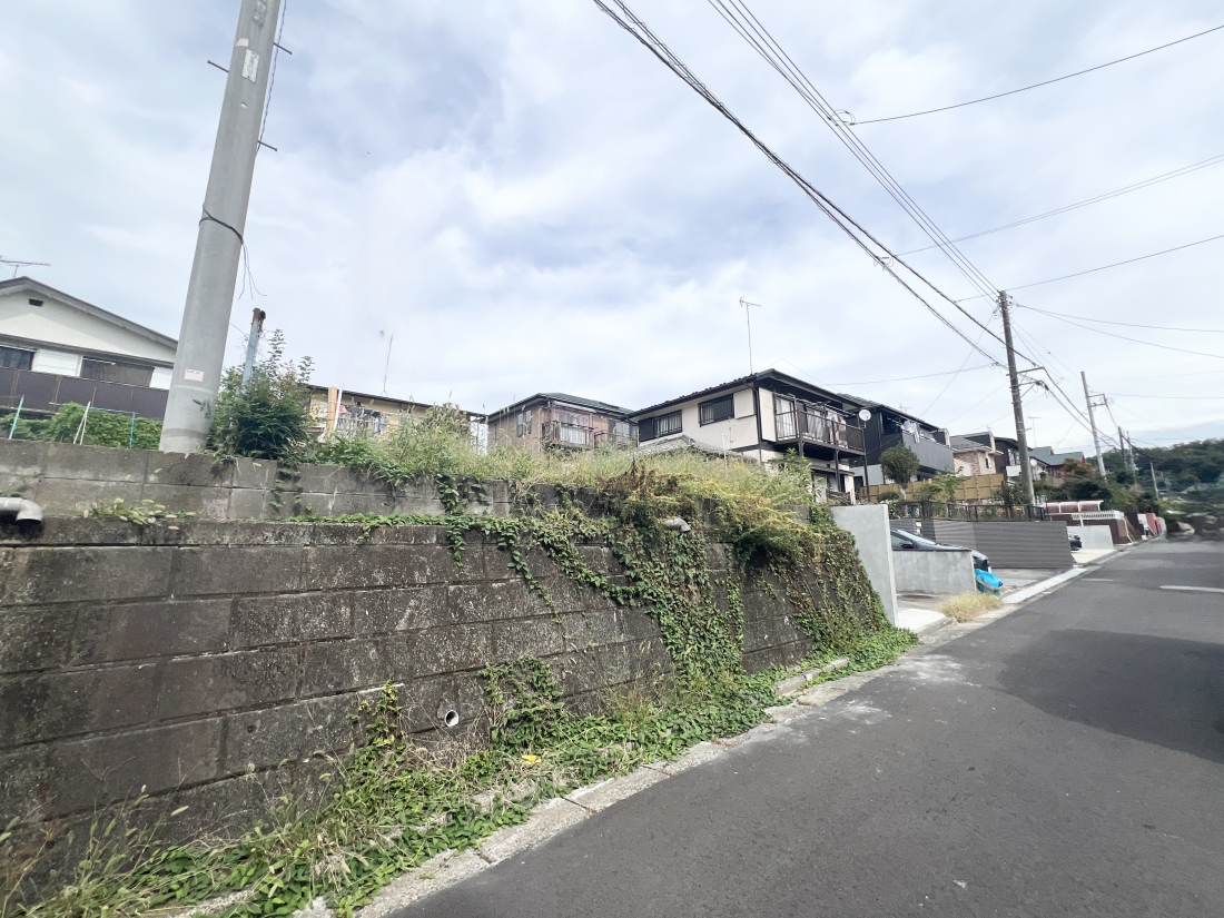 sqs̓yn̑OʓH܂ތnʐ^