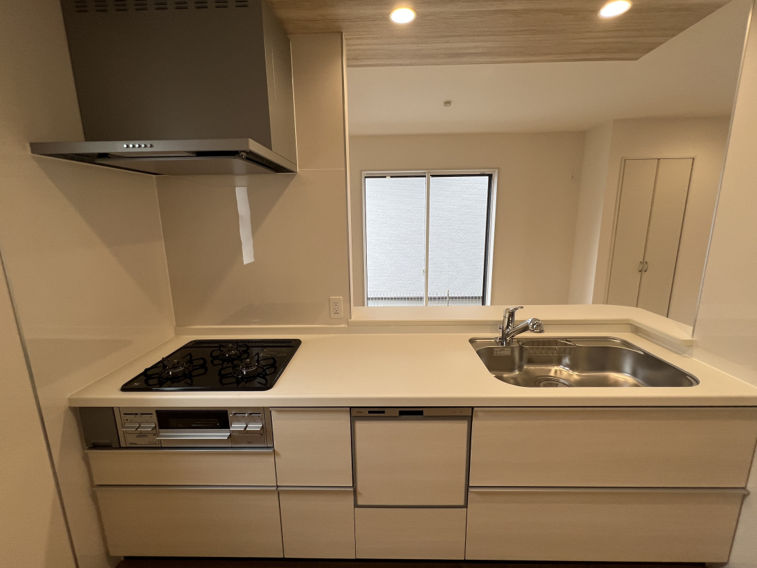 sqs咬̐VzˌĂ̓dlʐ^(Lb`j