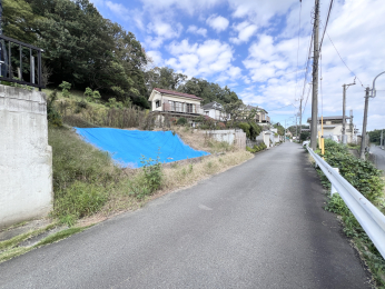 sqsŉz̓yn̑OʓH܂ތnʐ^