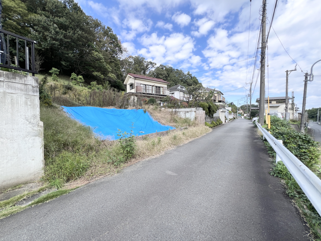 sqsŉz̓yn̑OʓH܂ތnʐ^