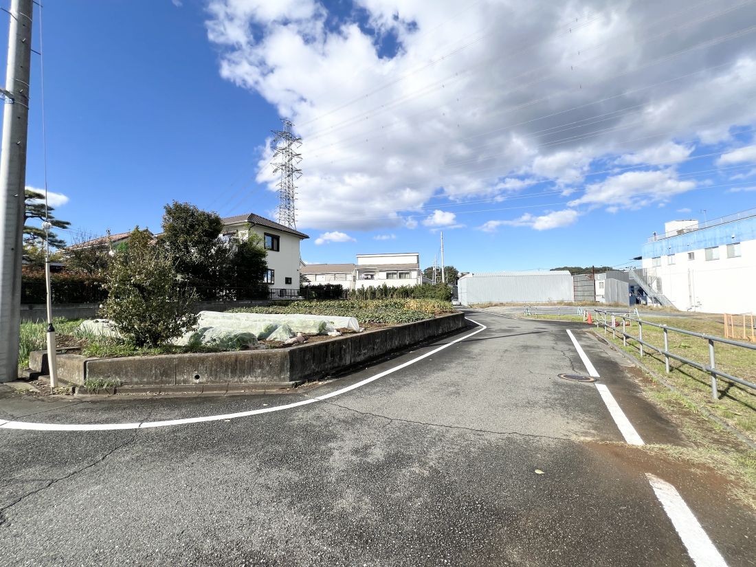 sqsJ̓yn̑OʓH܂ތnʐ^