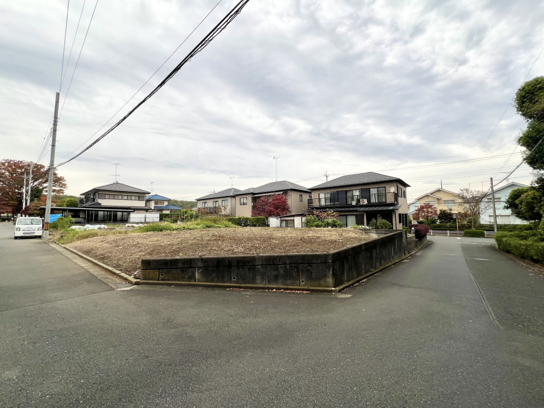 sqsvێR1ڂ̓yn̑OʓH܂ތnʐ^