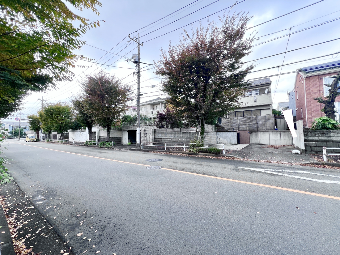 sqsz3ڂ̒ÈˌĂ̑OʓH܂ތnʐ^