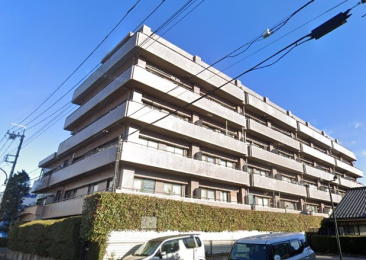 �����s�����q�s���q���̒��Ã}���V�����̉摜