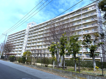 �����s�����q�s���Ԓ��̒��Ã}���V�����̉摜