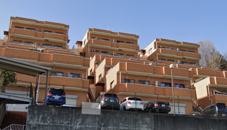 �����s�����q�s����钬�̒��Ã}���V�����̉摜