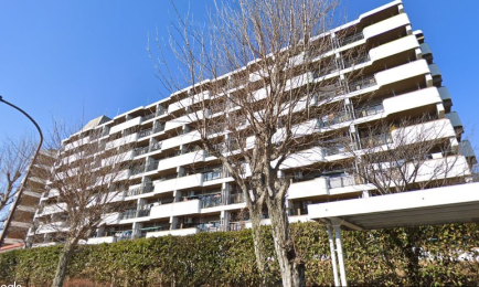 �����s�����q�s�����̒��Ã}���V�����̉摜