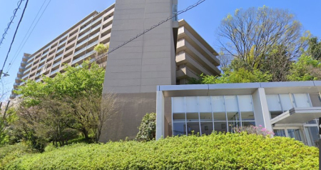 �����s�����q�s���؂̒��Ã}���V�����̉摜