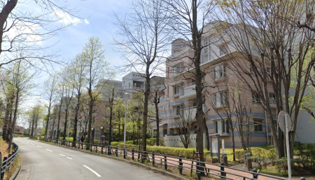 �����s�����q�s�ʏ�1���ڂ̒��Ã}���V�����̉摜