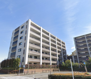 �����s�����q�s���q1���ڂ̒��Ã}���V�����̉摜