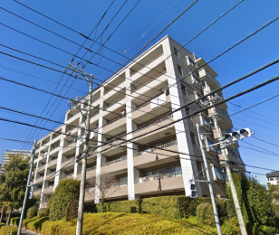 �����s�����q�s��˂̒��Ã}���V�����̌��n�O�ώʐ^