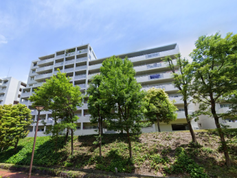 �����s�����q�s���M��3���ڂ̒��Ã}���V�����̌��n�O�ώʐ^