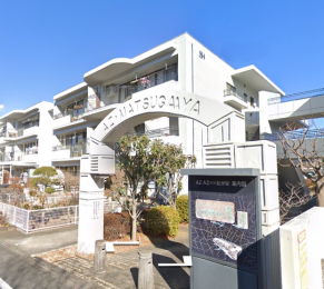 �����s�����q�s�����J�̒��Ã}���V�����̌��n�O�ώʐ^