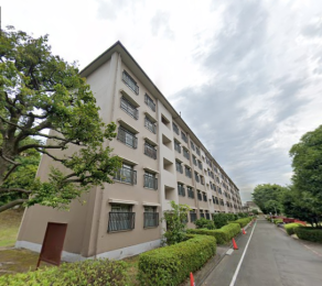 �����s�����q�s�����̒��Ã}���V�����̉摜