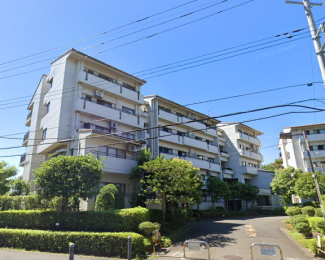 �����s�����q�s�����J�̒��Ã}���V�����̌��n�O�ώʐ^