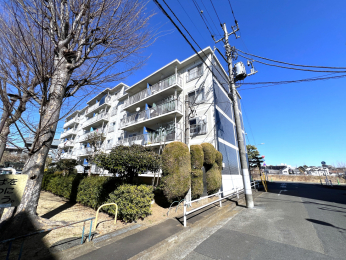 �����s�����q�s���_��1���ڂ̒��Ã}���V�����̌��n�O�ώʐ^