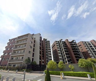 �����s�����q�s�ʏ�1���ڂ̒��Ã}���V�����̉摜