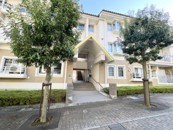 �����s�����q�s����5���ڂ̒��Ã}���V�����̉摜