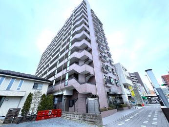 �����s�����q�s���ؒ��̒��Ã}���V�����̌��n�O�ώʐ^