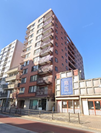 �����s�����q�s�Ǖ����̒��Ã}���V�����̉摜