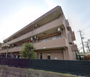 �����s�����q�s�������̒��Ã}���V�����̉摜